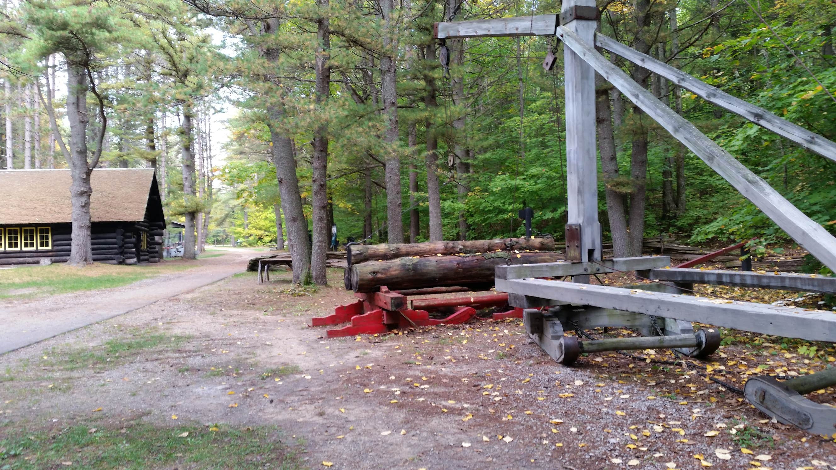 Camper submitted image from Hartwick Pines State Park Campground - 3