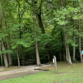 Review photo of Village Creek State Park Campground by Narendra  B., August 31, 2020