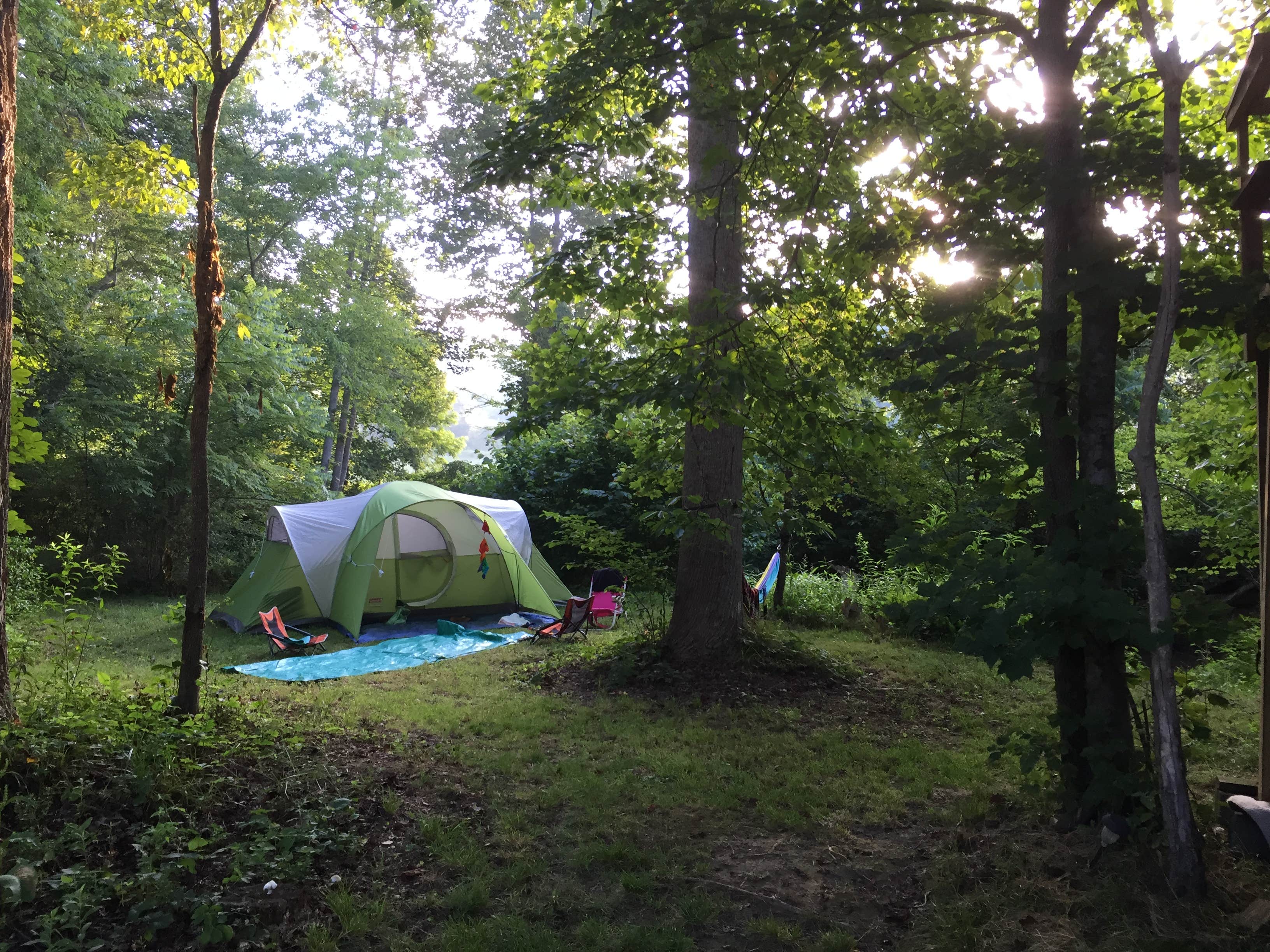 Camper submitted image from Lake Powhatan — National Forests In North Carolina - 5