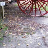 Review photo of Hartwick Pines State Park Campground by Rachel K., May 11, 2018