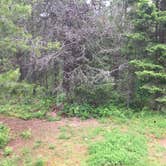 Review photo of Emery Bay Campground by Bjorn S., August 31, 2020