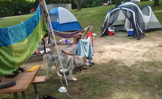 Rachel K.'s photo at Waterloo Portage Lake Modern — Waterloo Recreation Area near Jerome, MI