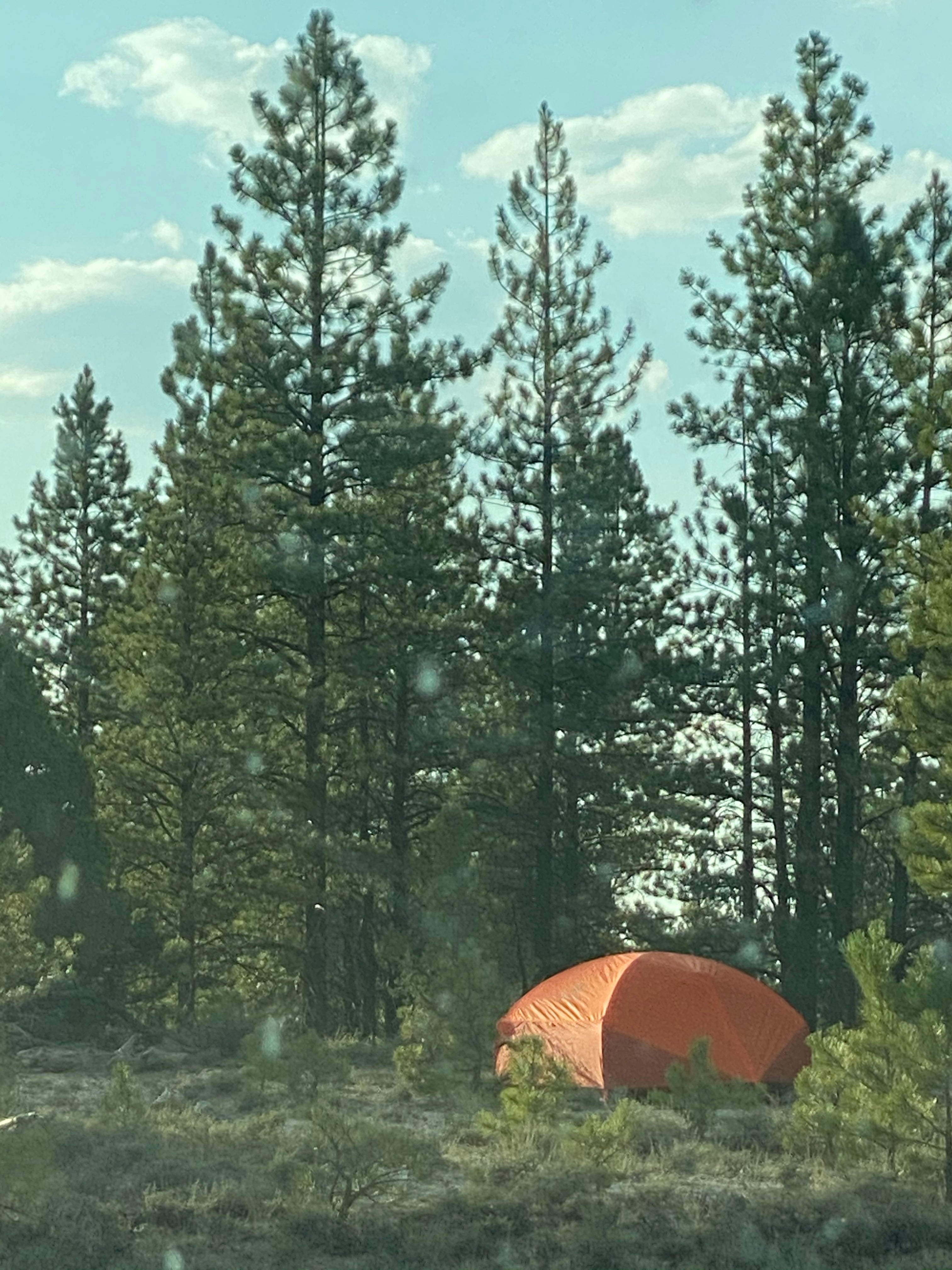 Camper submitted image from Great Western Trail Dispersed - 4