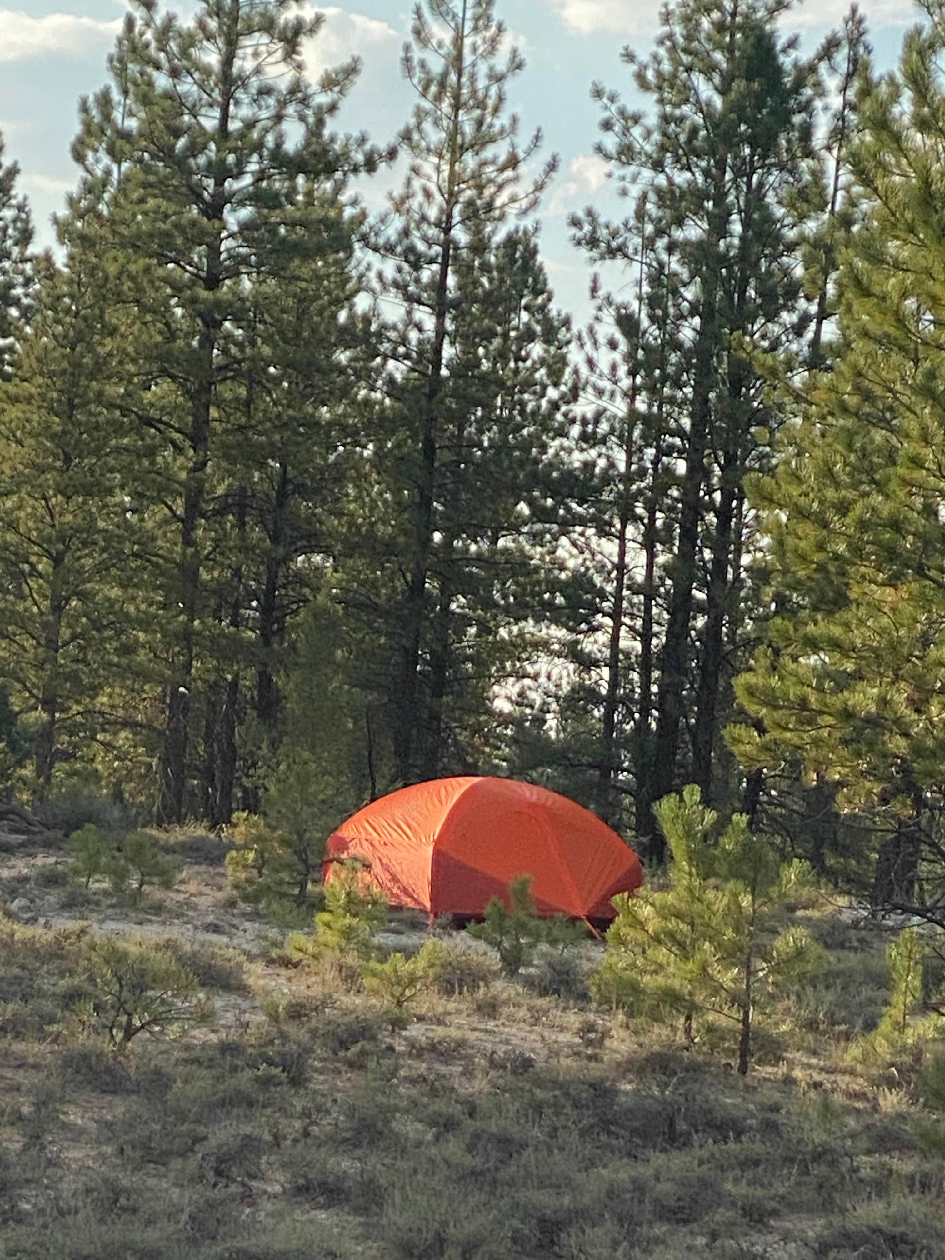 Kate L.'s photo of tent camping at Great Western Trail Dispersed in Utah