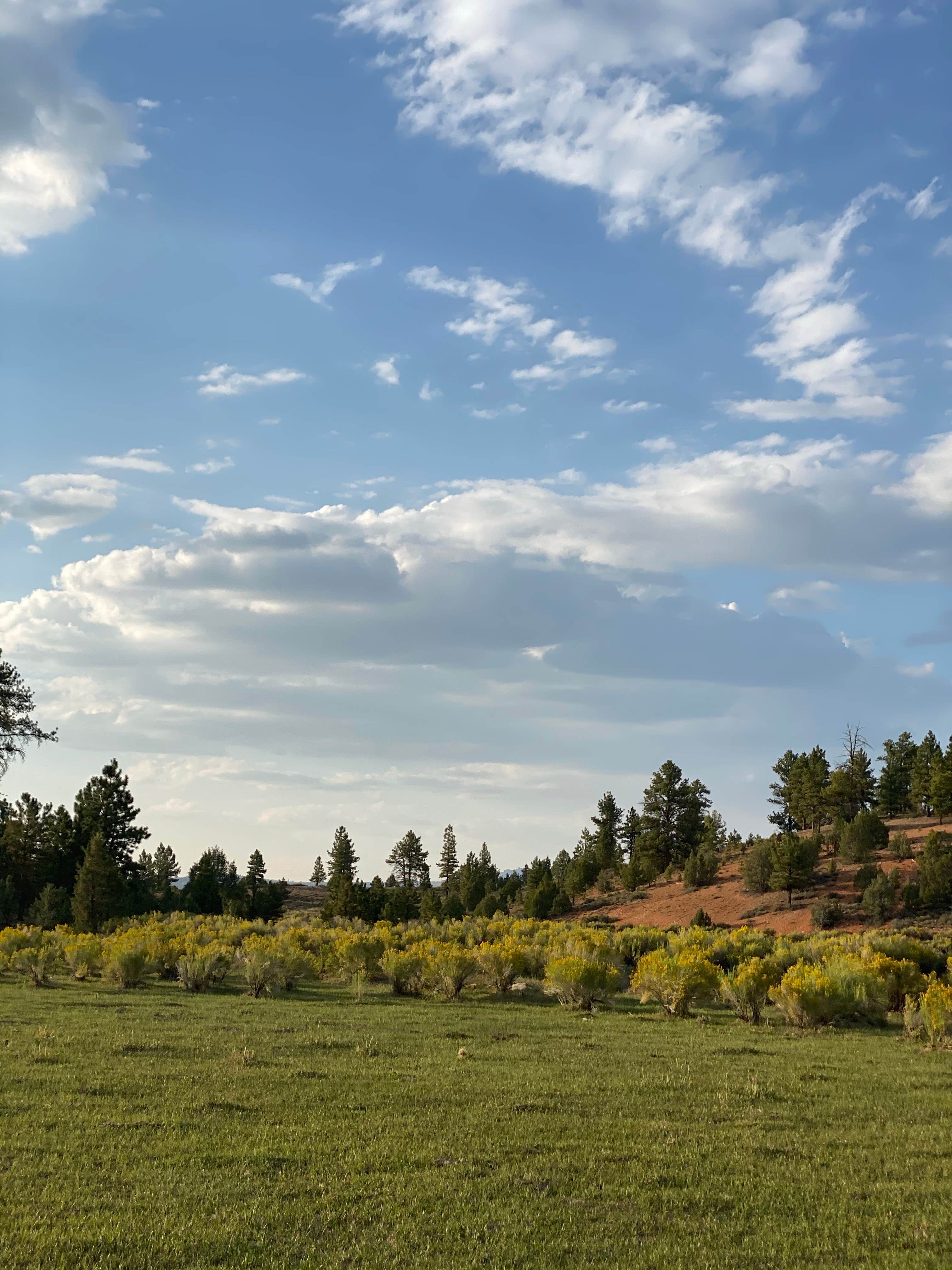 Camper-submitted photo at Great Western Trail Dispersed near Brian Head, UT