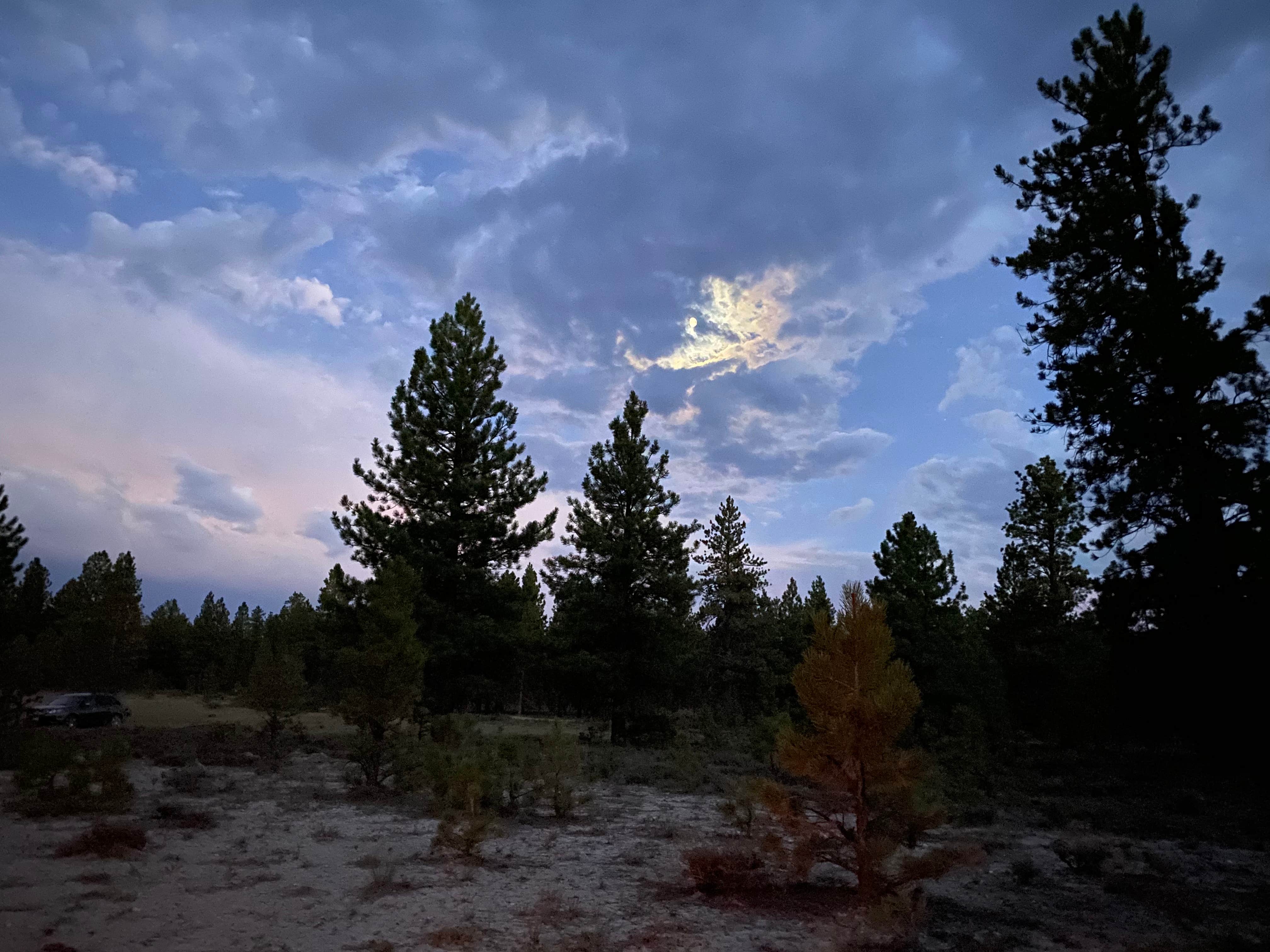 Camper-submitted photo at Great Western Trail Dispersed near Brian Head, UT