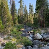 Review photo of Gerle Creek by Jon  R., August 31, 2020