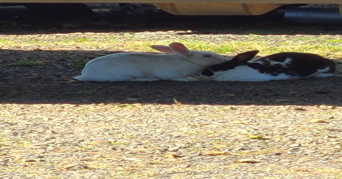 Pleasant Valley RV Park