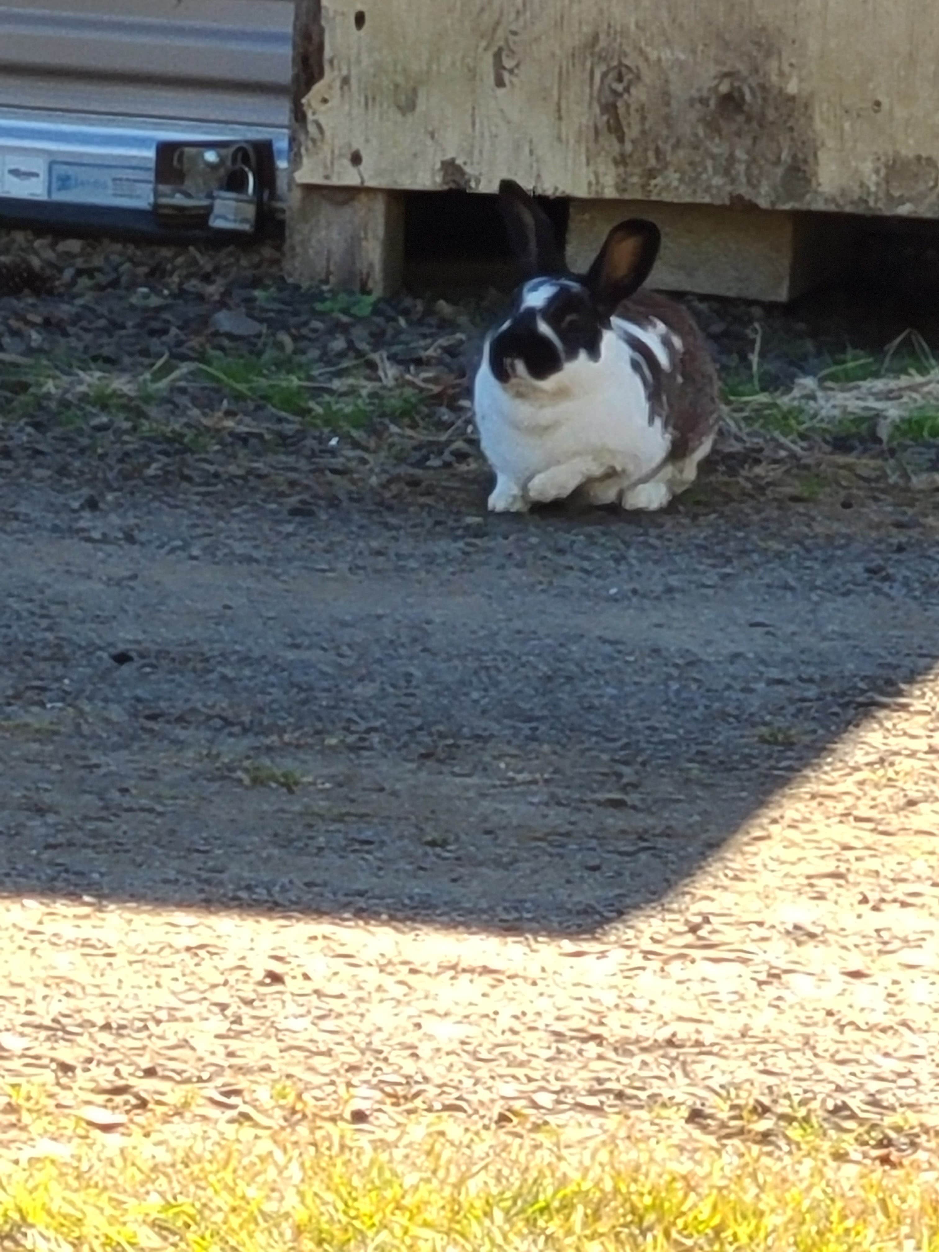 Camper-submitted photo at Pleasant Valley RV Park near Pacific City, OR