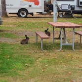 Review photo of Pleasant Valley RV Park by Bonnie A., August 31, 2020