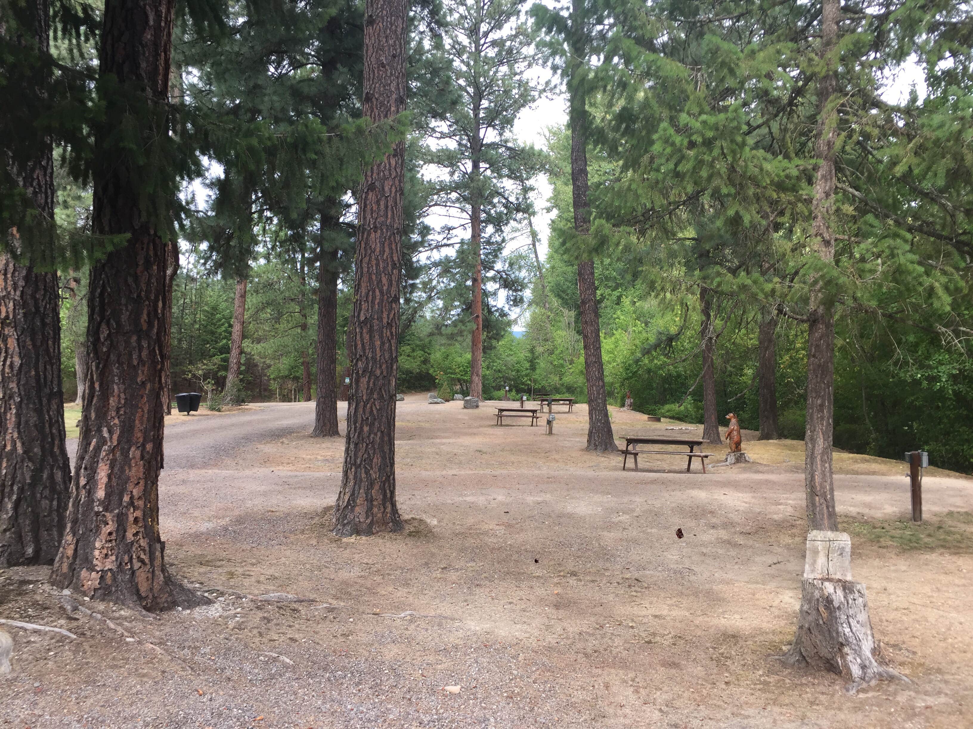 Camper-submitted photo at Campground St. Regis near Plains, MT