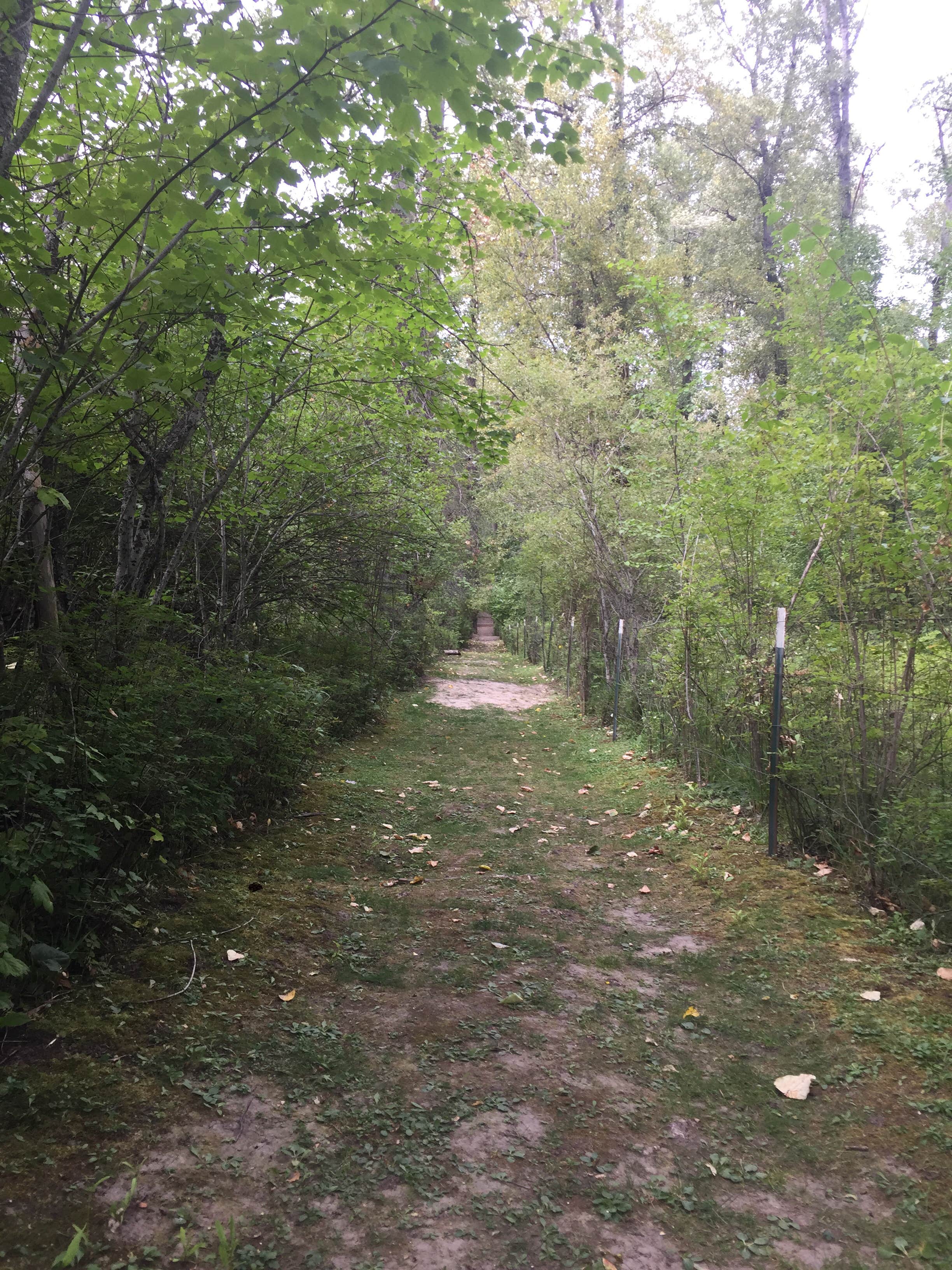 Camper-submitted photo at Campground St. Regis near Plains, MT