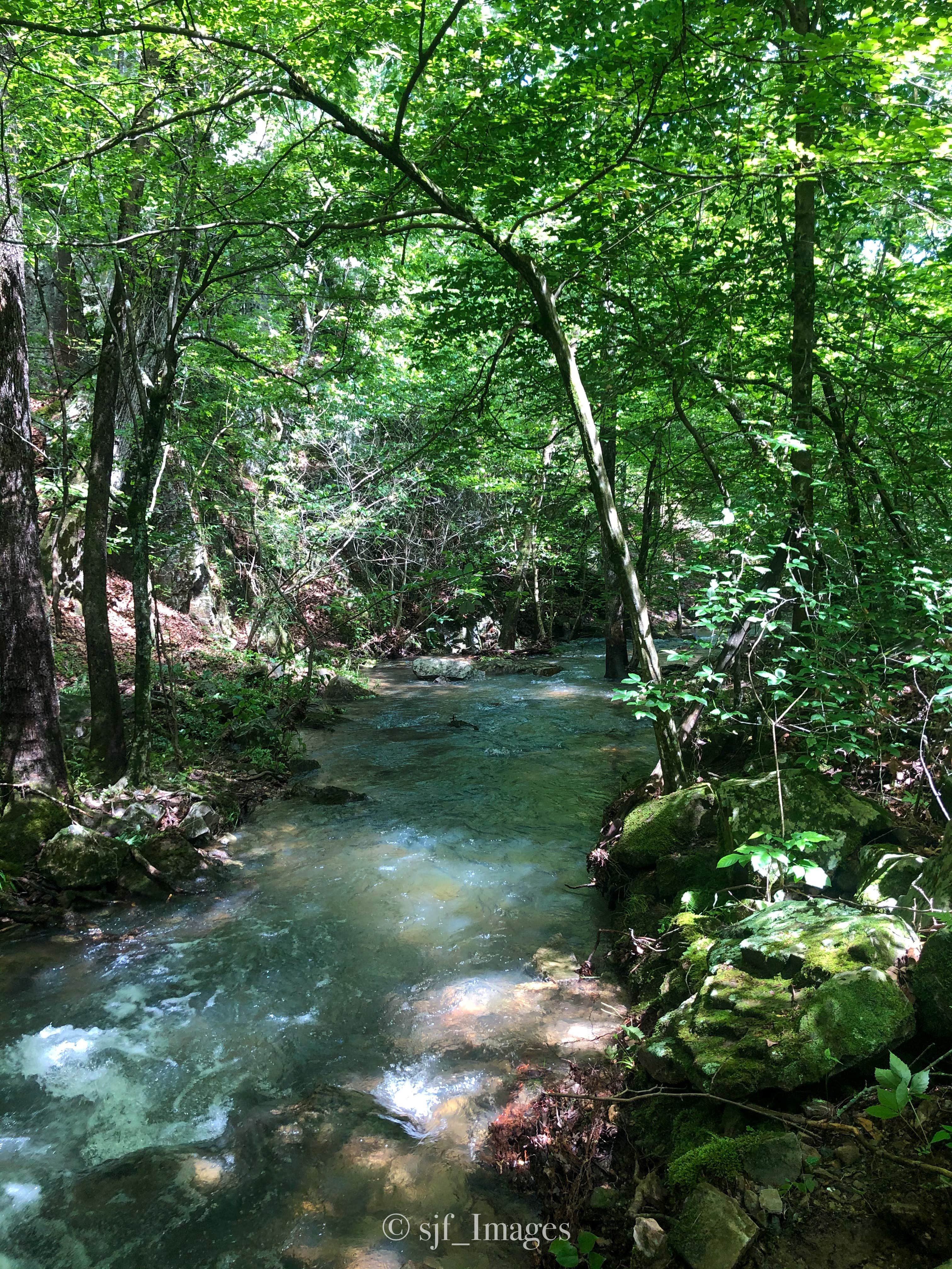 Camper-submitted photo at Little Fir Landing near Oden, AR