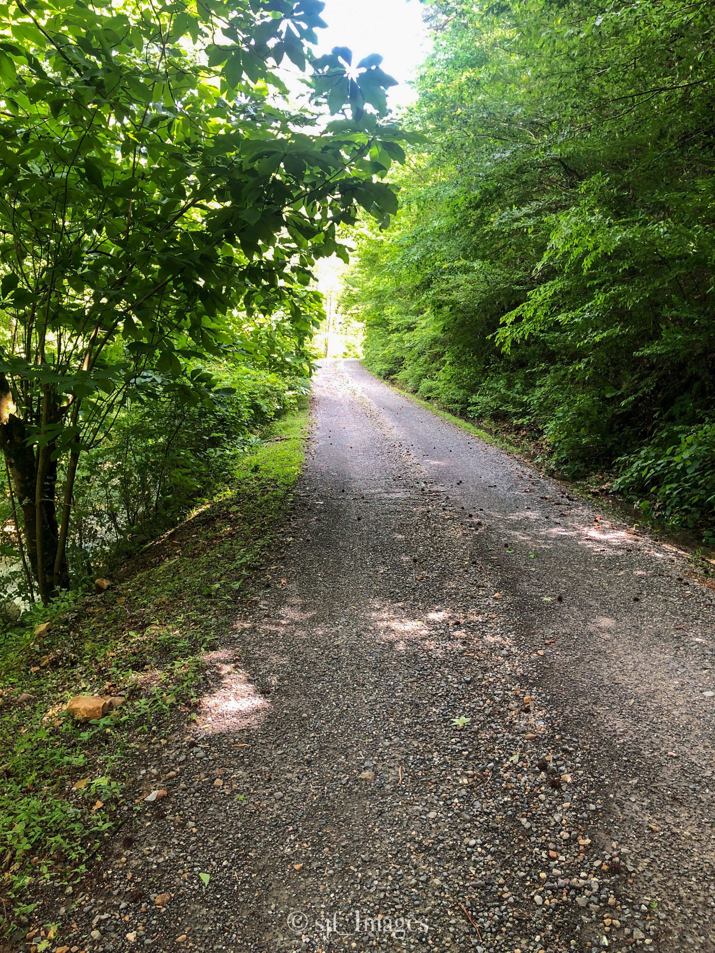 Camper-submitted photo at Little Fir Landing near Oden, AR