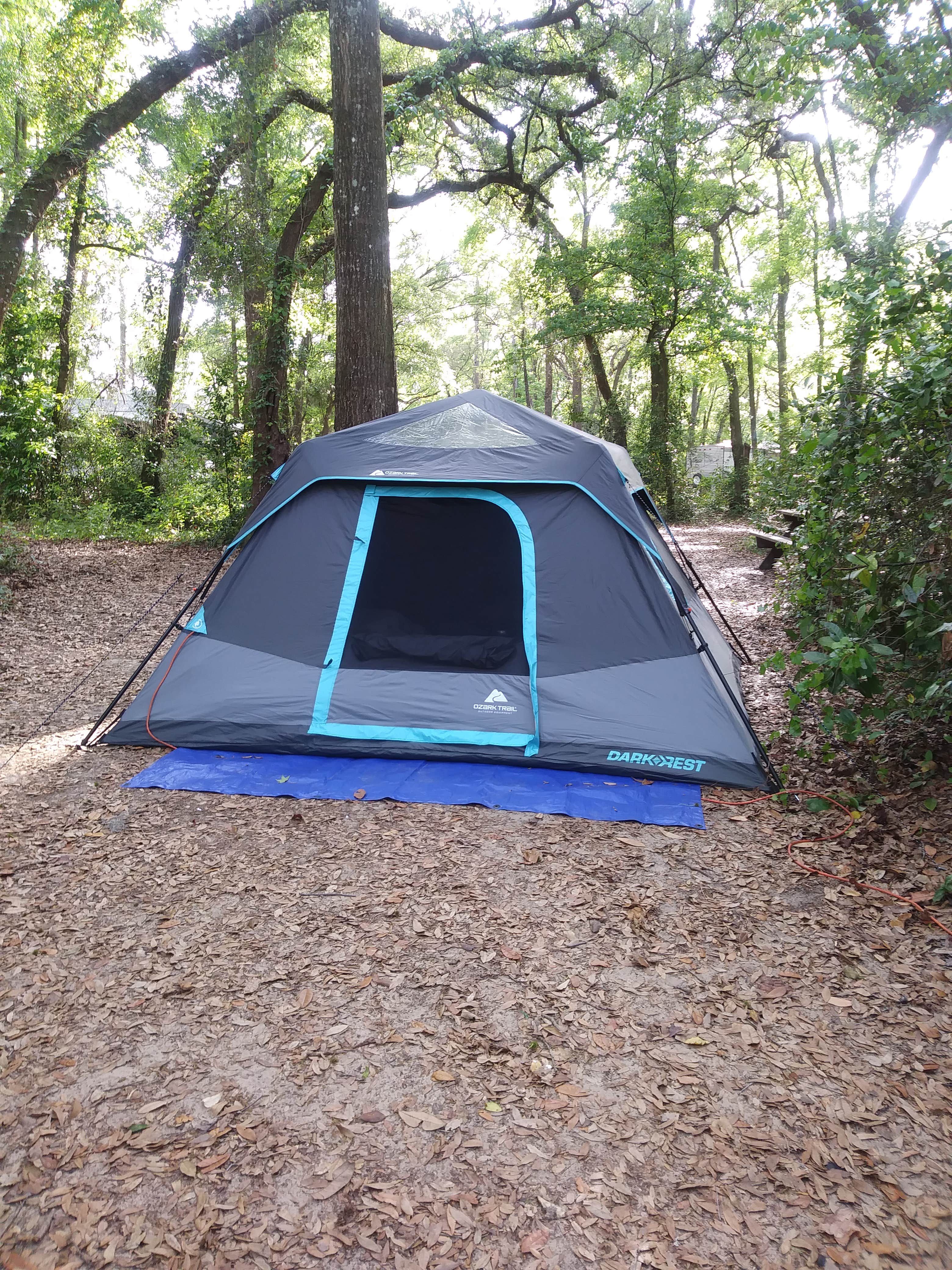 Claudine S.'s photo at Ginnie Springs Outdoors near Alachua, FL