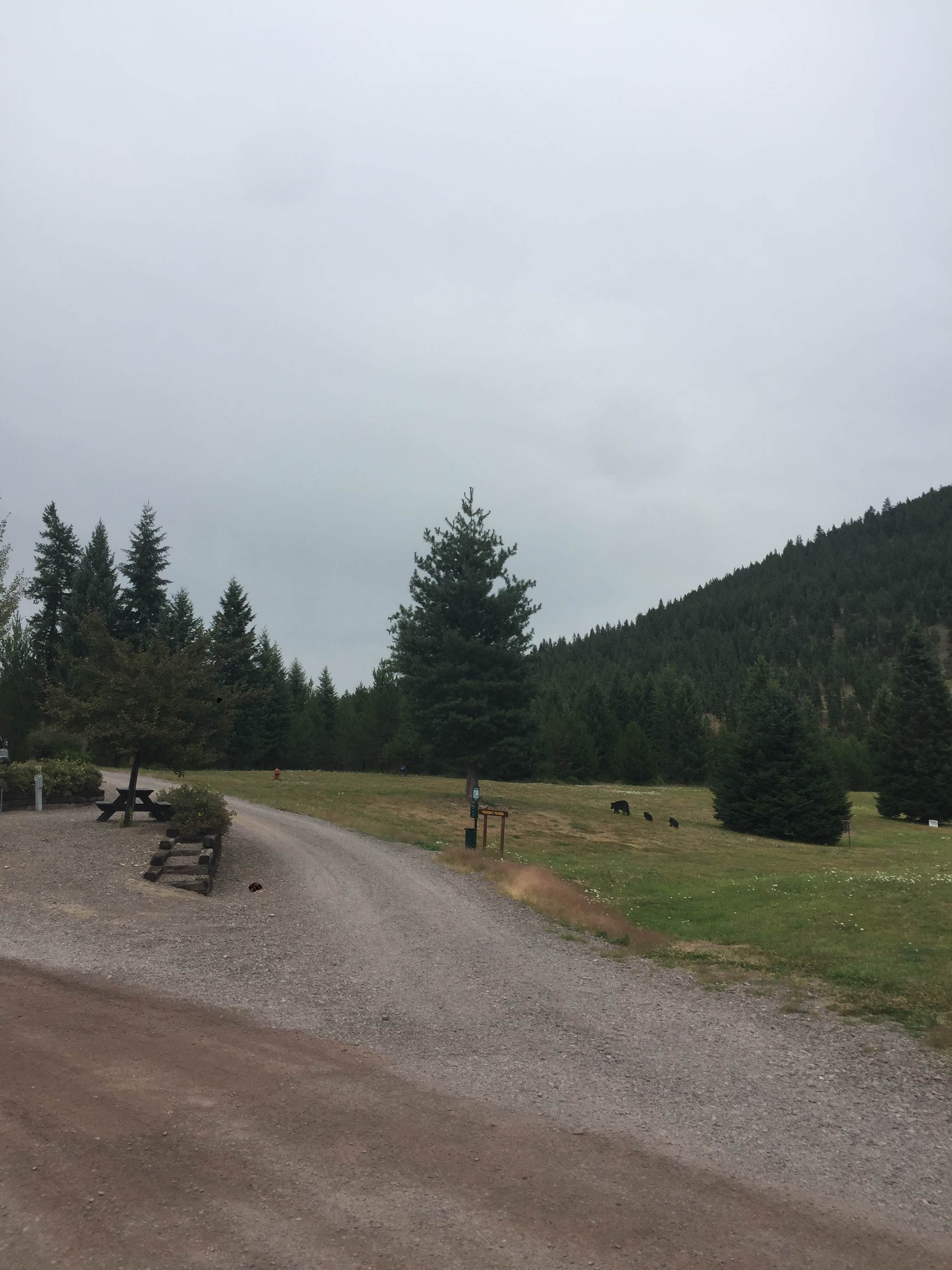 Camper-submitted photo at Nugget RV Resort near Lolo National Forest