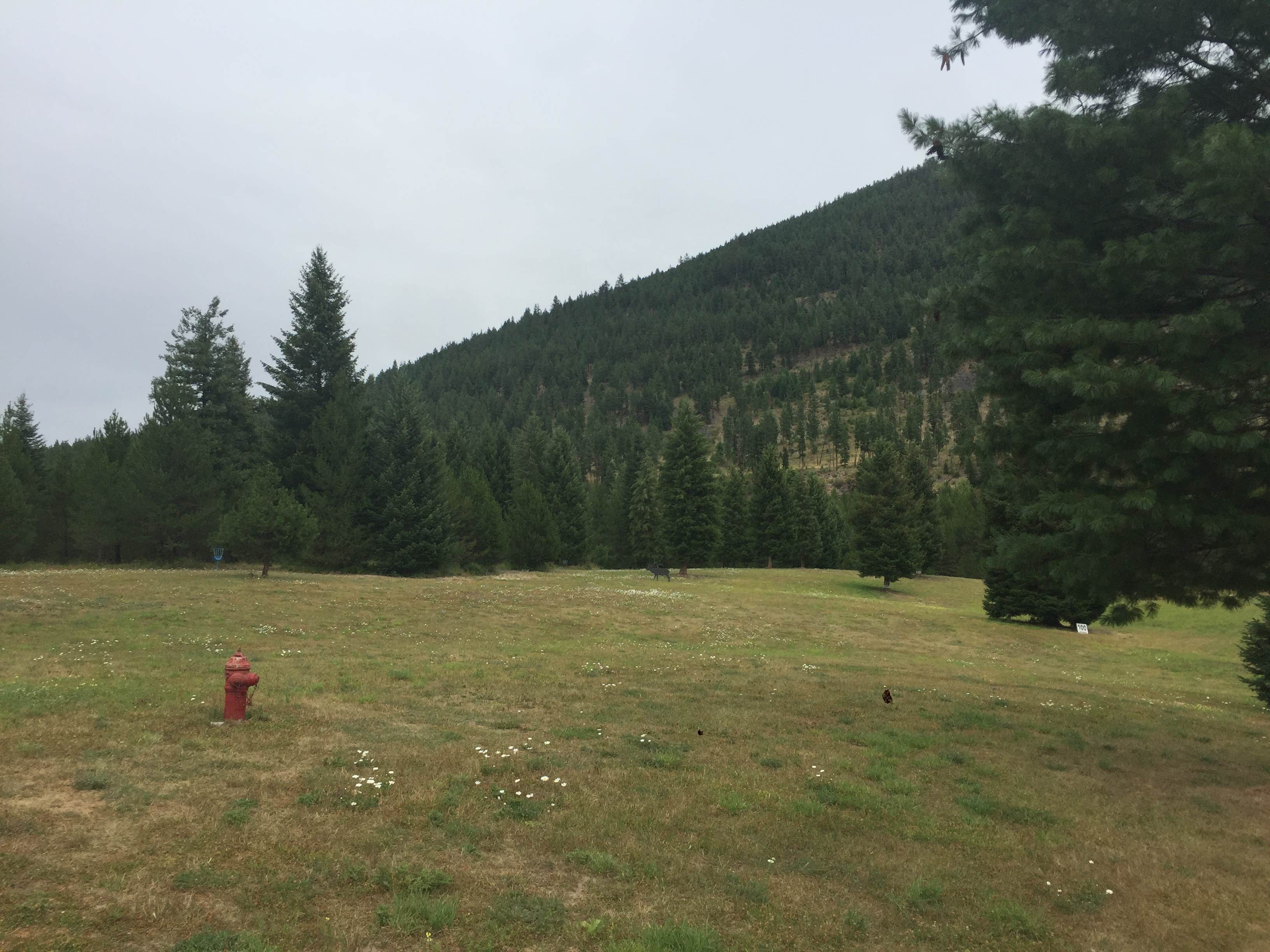 Camper-submitted photo at Nugget RV Resort near Lolo National Forest