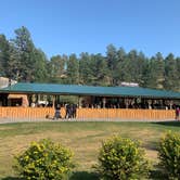 Review photo of Mount Rushmore KOA at Palmer Gulch by MaryAnn  B., August 31, 2020