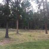 Review photo of Rollins RV Park by Bjorn S., August 31, 2020