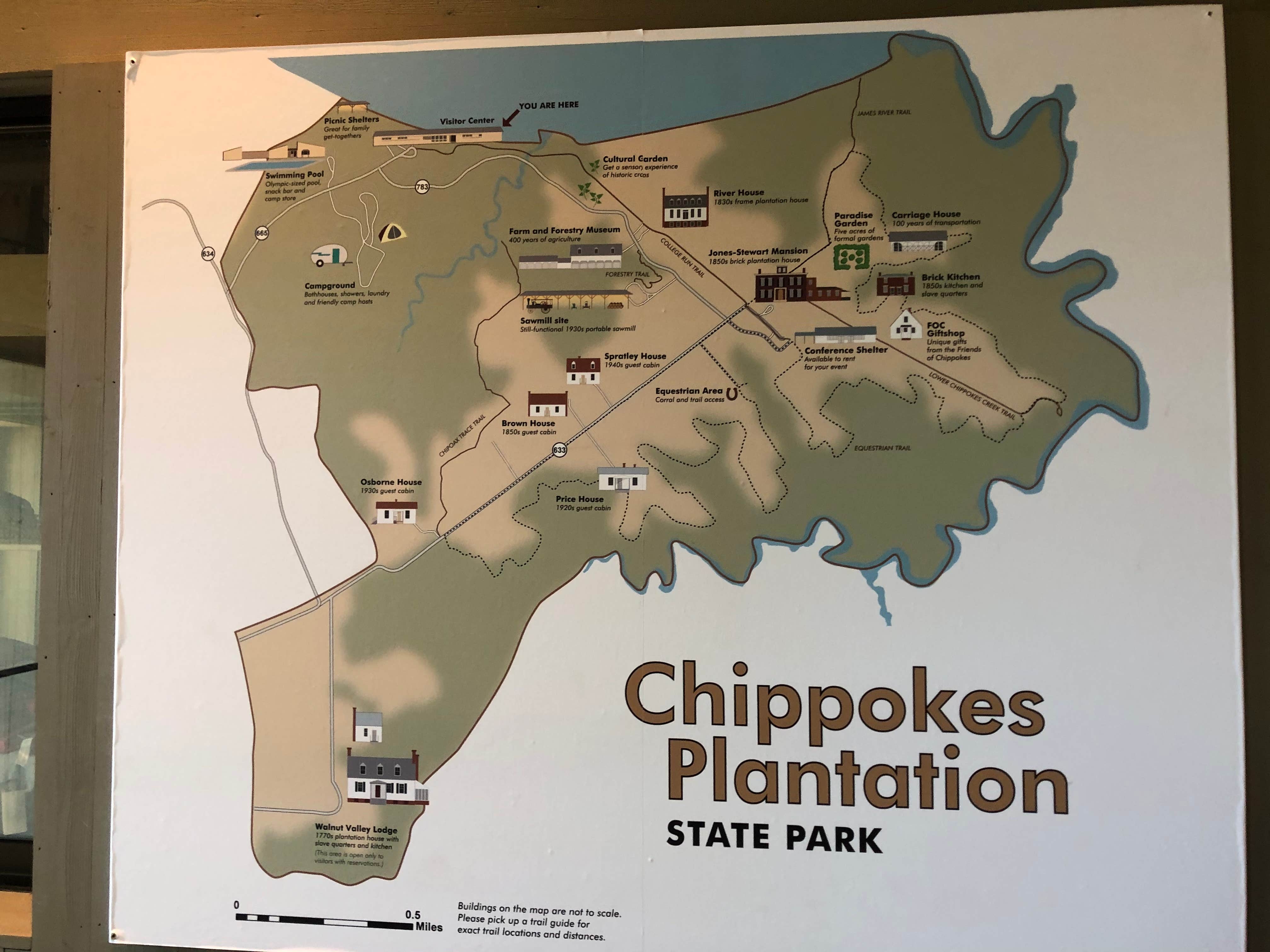 Camper submitted image from Chippokes State Park Campground - 4