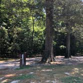 Review photo of Chippokes State Park Campground by RL , August 1, 2020