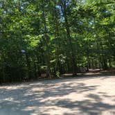 Review photo of Chippokes State Park Campground by RL , August 1, 2020