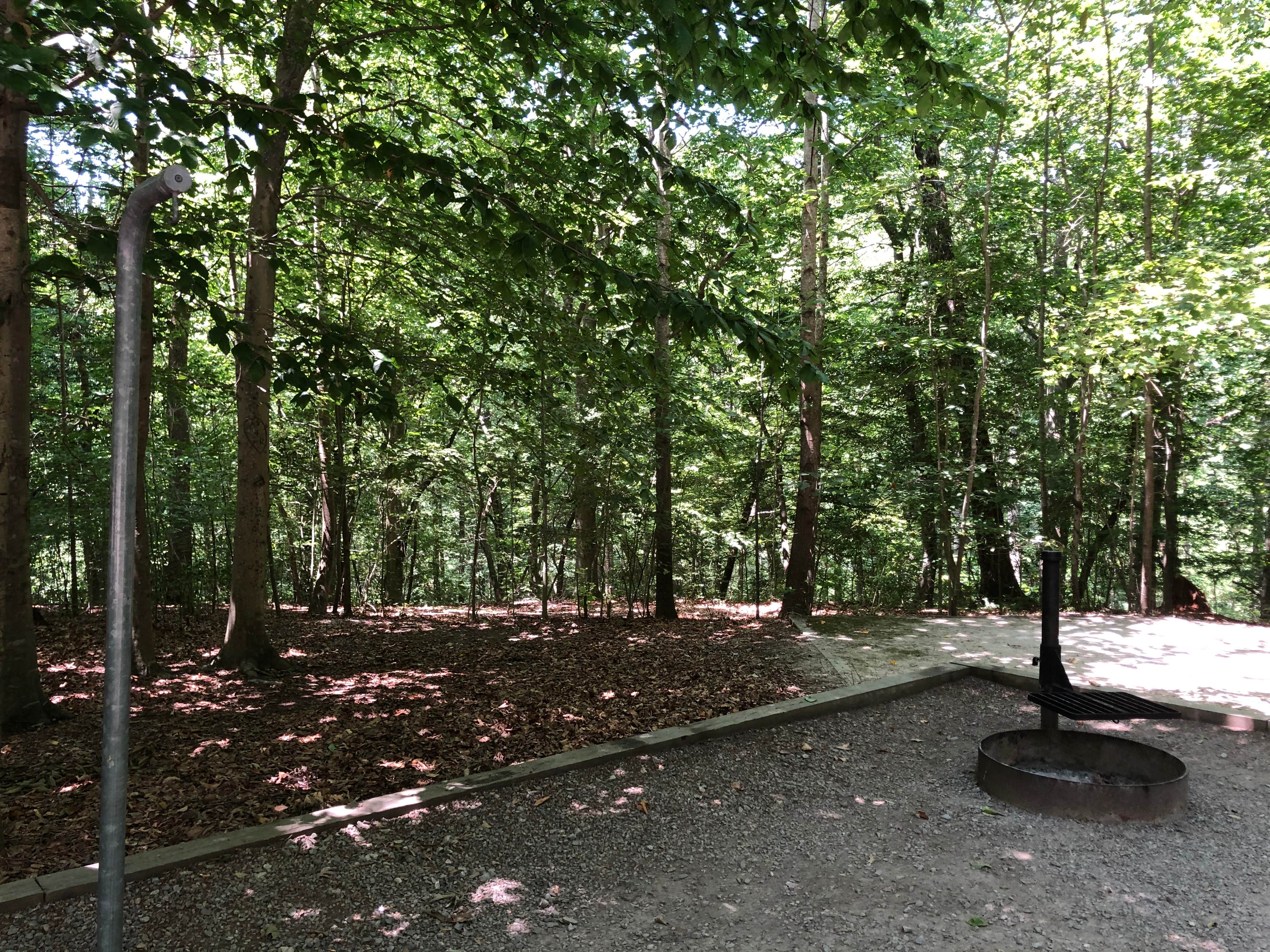 Camper-submitted photo at Chippokes State Park Campground near Newport News, VA