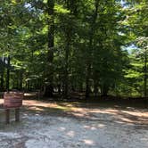 Review photo of Chippokes State Park Campground by RL , August 1, 2020