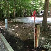 Review photo of Chippokes State Park Campground by RL , August 1, 2020