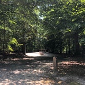 Review photo of Chippokes State Park Campground by RL , August 1, 2020