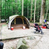 Review photo of Frozen Head State Park Campground by Laura D., May 11, 2018