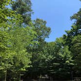 Review photo of Chippokes State Park Campground by RL , August 1, 2020