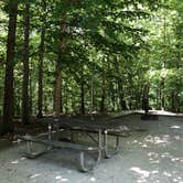 Review photo of Chippokes State Park Campground by RL , August 1, 2020