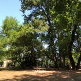 Review photo of Chippokes State Park Campground by RL , August 1, 2020