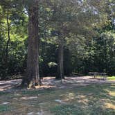 Review photo of Chippokes State Park Campground by RL , August 1, 2020