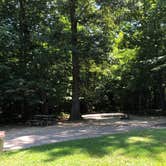 Review photo of Chippokes State Park Campground by RL , August 1, 2020