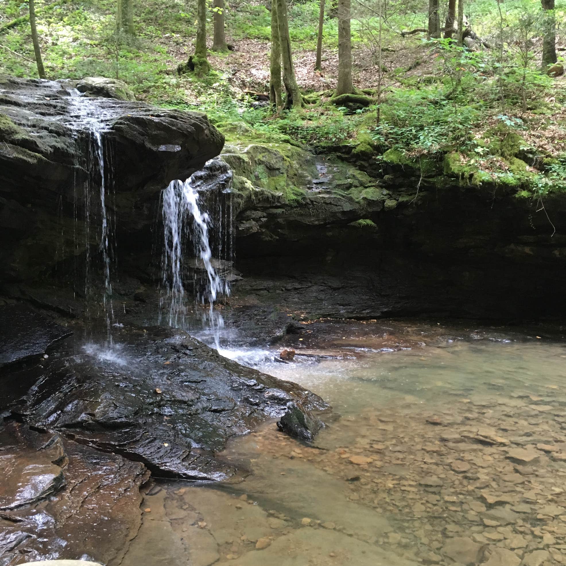 Frozen Head State Park Camping 