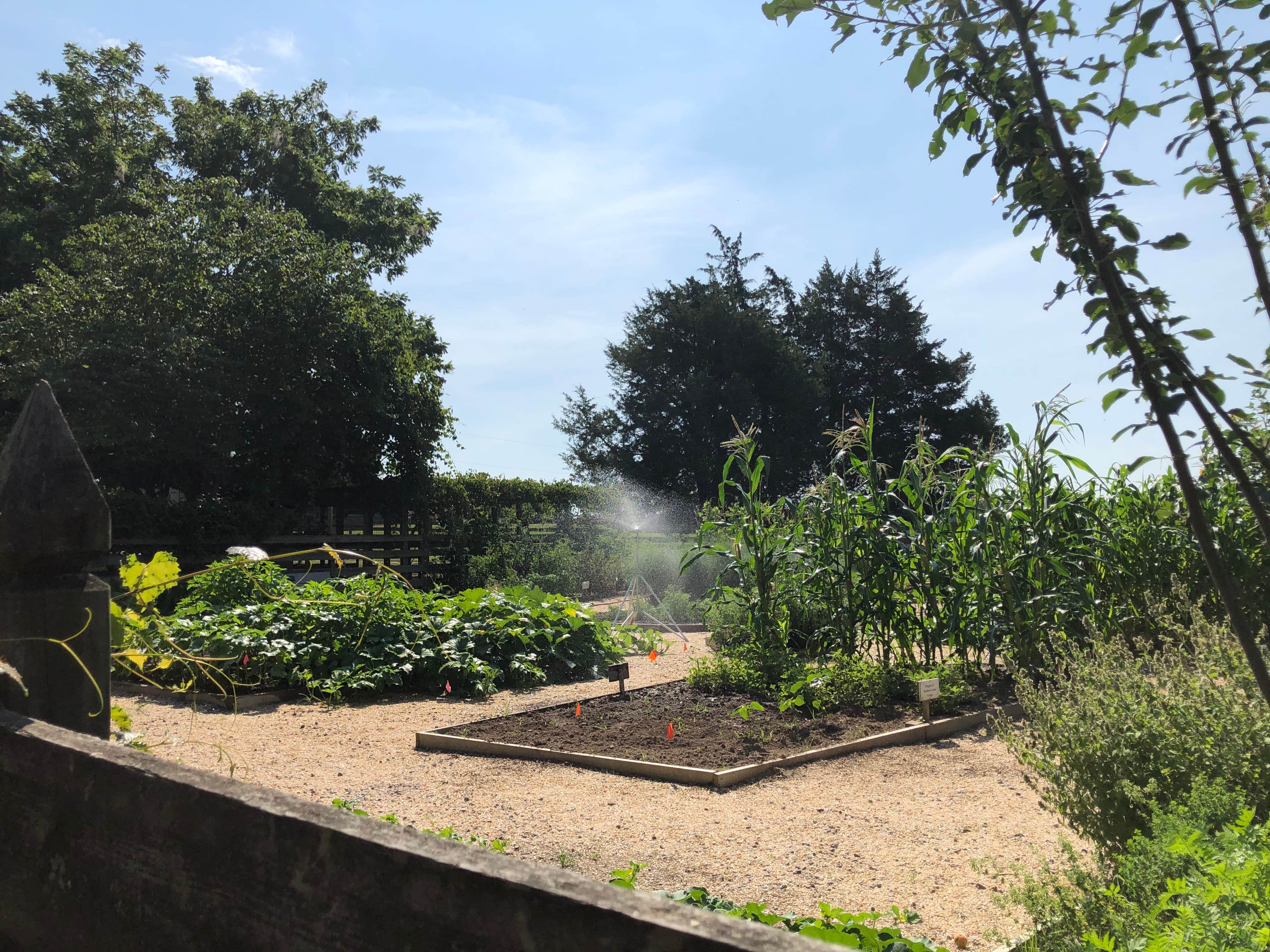 Chippokes State Park Campground