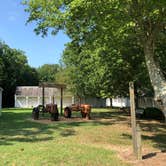 Review photo of Chippokes State Park Campground by RL , August 1, 2020