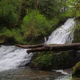 Review photo of Hubert K McBee Memorial Campground by Tj B., May 11, 2018