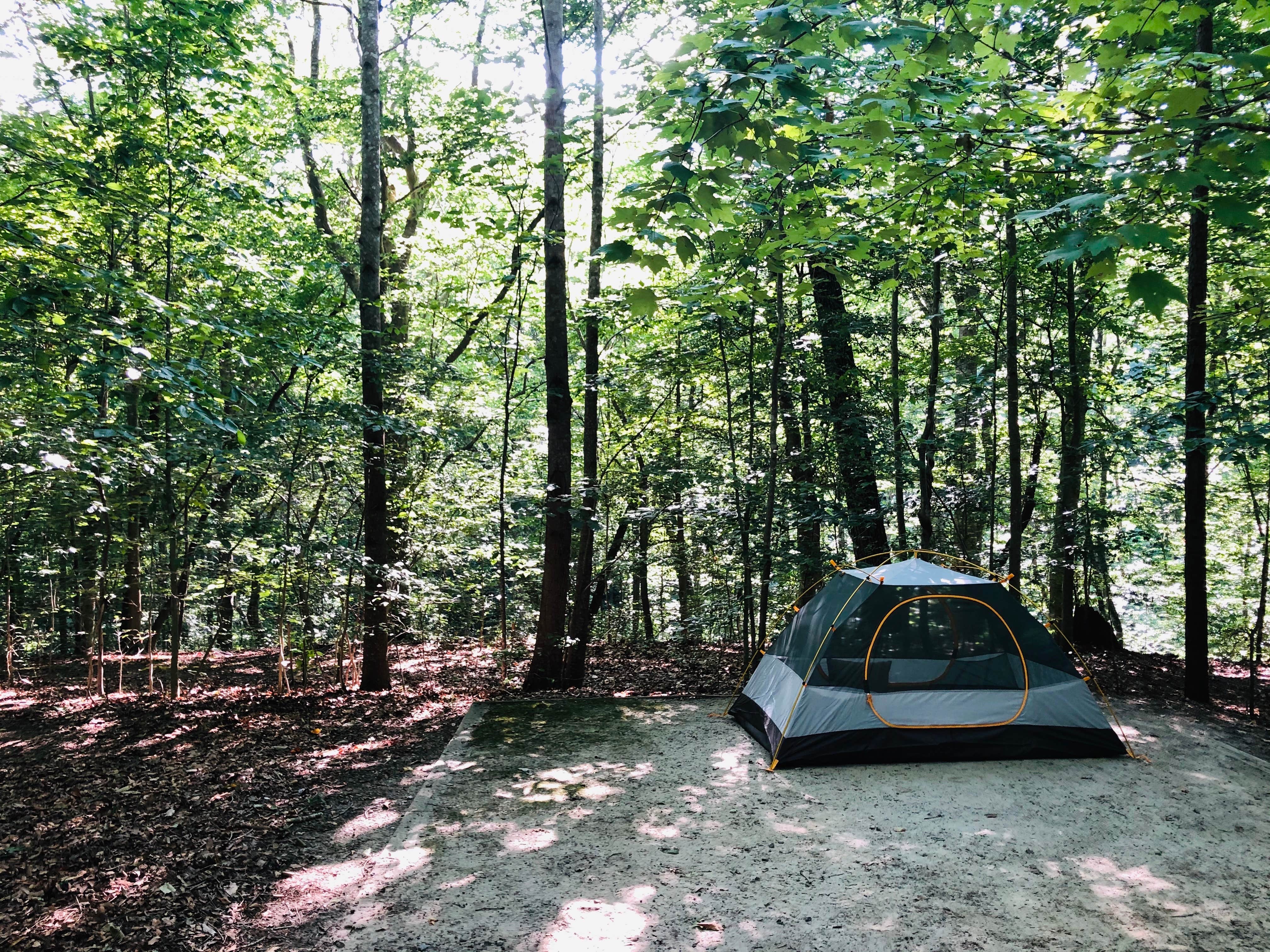 RL's photo at Chippokes State Park Campground near Lackey, VA