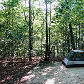 Review photo of Chippokes State Park Campground by RL , August 1, 2020