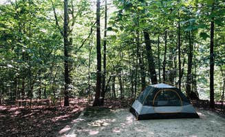 RL's photo at Chippokes State Park Campground near Charles City, VA