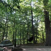 Review photo of Chippokes State Park Campground by RL , August 1, 2020