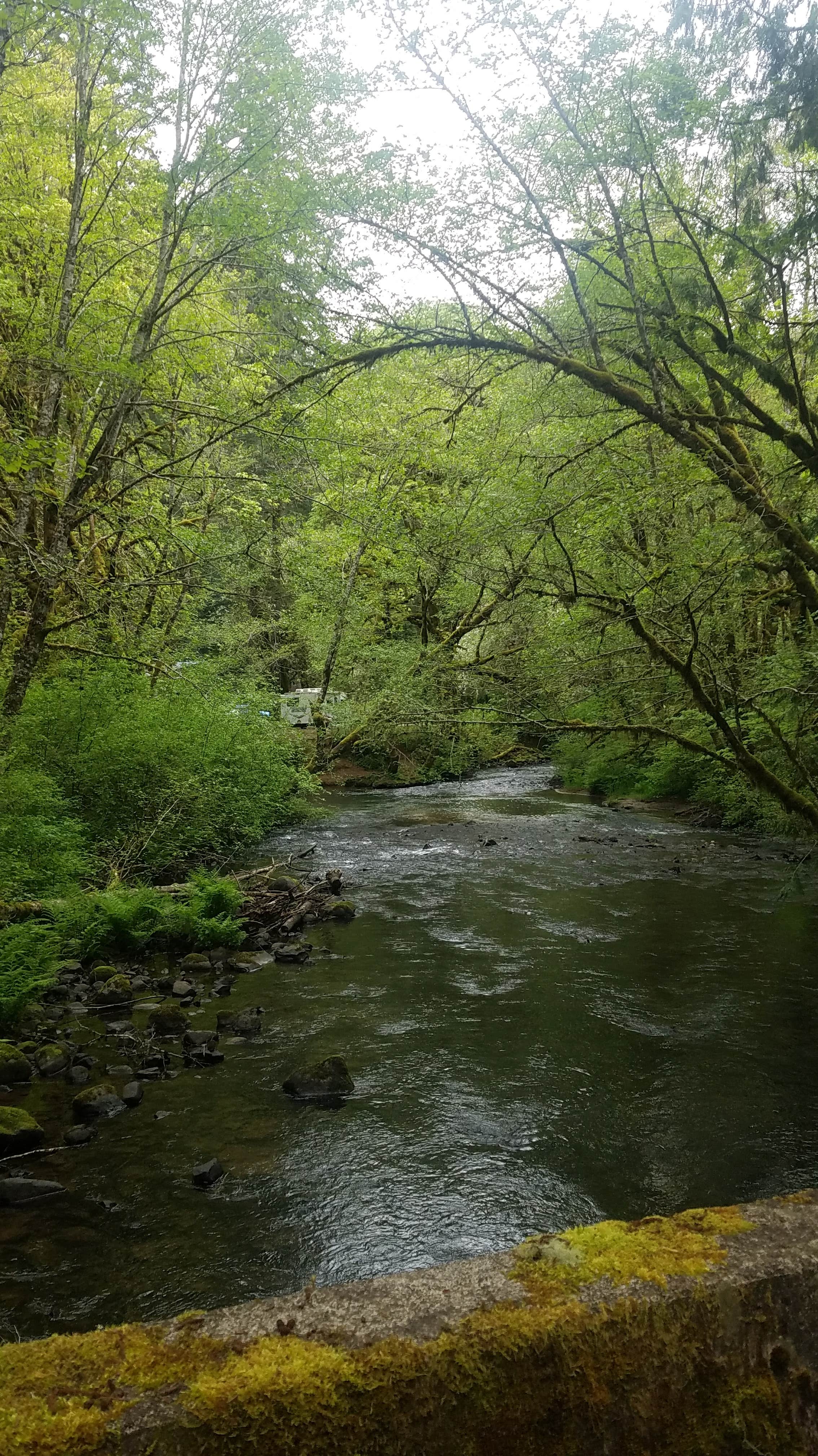 Camper-submitted photo at Hubert K McBee Memorial Campground near Monroe, OR