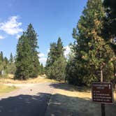 Review photo of West Shore Unit — Flathead Lake State Park by Bjorn S., August 31, 2020