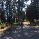 Review photo of West Shore Unit — Flathead Lake State Park by Bjorn S., August 31, 2020