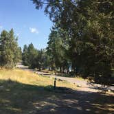 Review photo of West Shore Unit — Flathead Lake State Park by Bjorn S., August 31, 2020