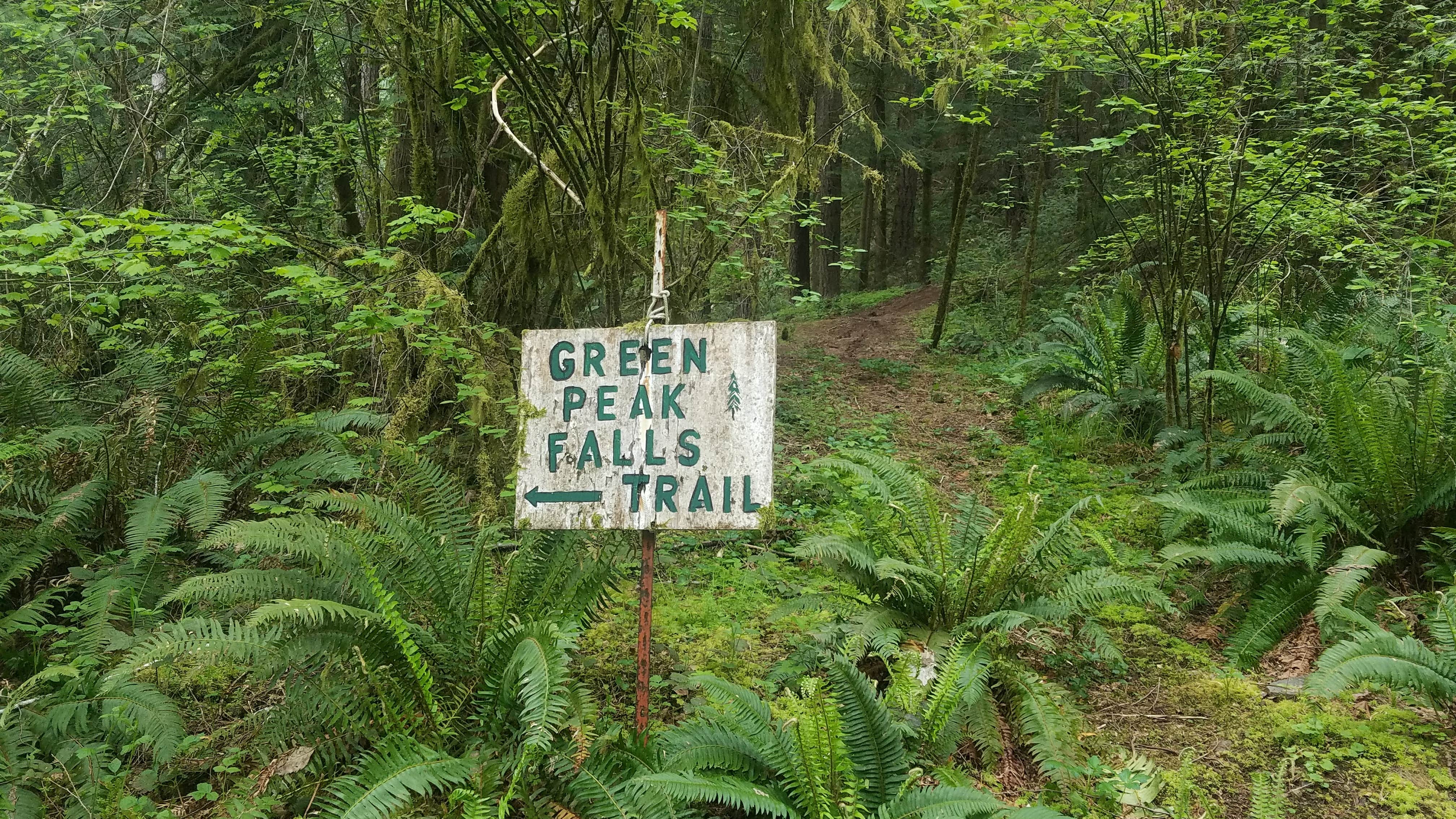 Camper-submitted photo at Hubert K McBee Memorial Campground near Monroe, OR
