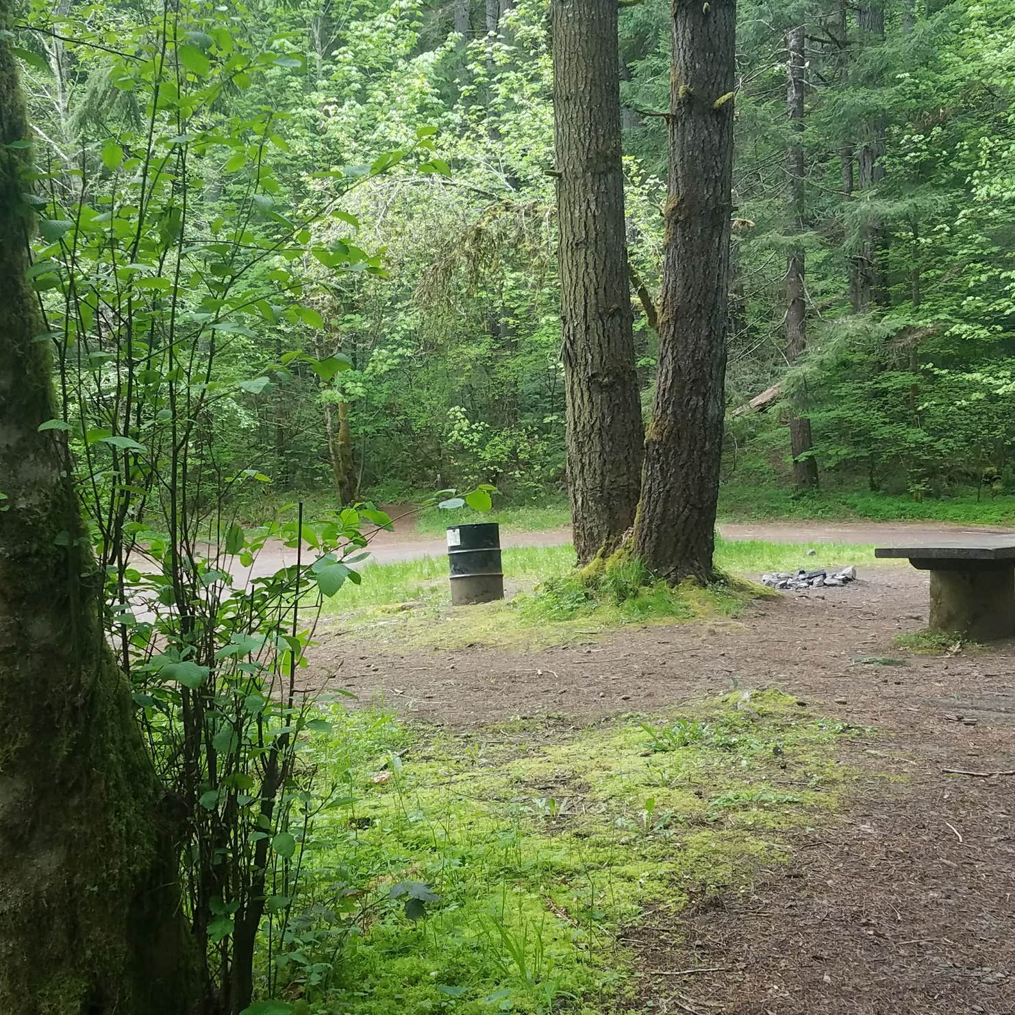 Hubert K McBee Memorial Campground Camping The Dyrt